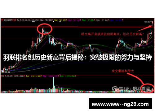 羽联排名创历史新高背后揭秘：突破极限的努力与坚持