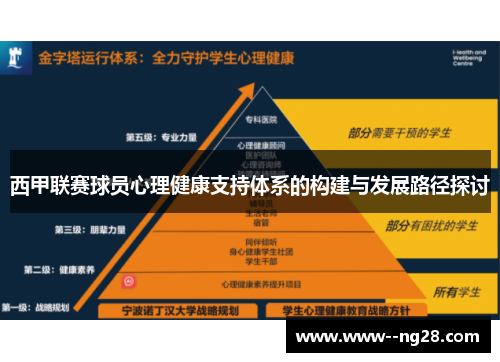 西甲联赛球员心理健康支持体系的构建与发展路径探讨