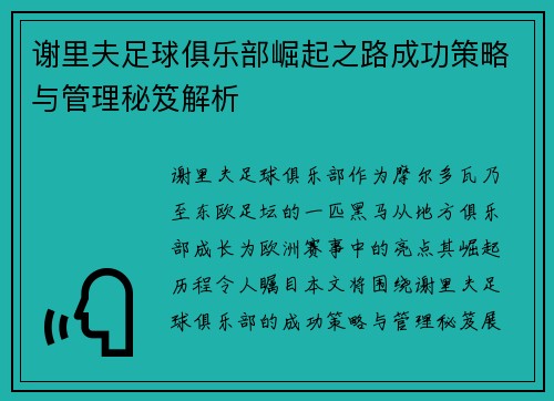 谢里夫足球俱乐部崛起之路成功策略与管理秘笈解析