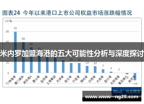 米内罗加盟海港的五大可能性分析与深度探讨