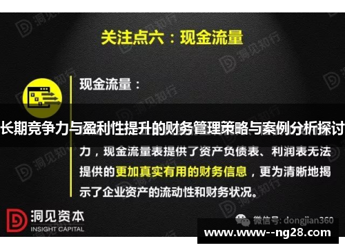 长期竞争力与盈利性提升的财务管理策略与案例分析探讨