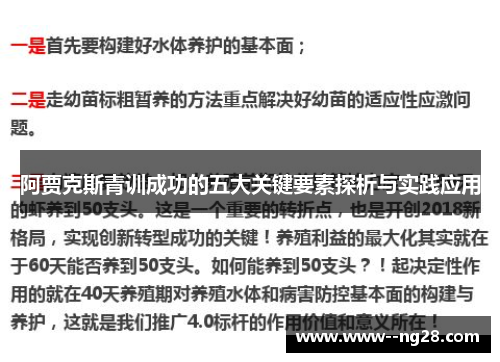 阿贾克斯青训成功的五大关键要素探析与实践应用