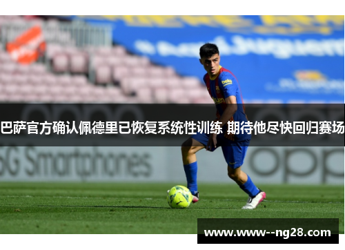 巴萨官方确认佩德里已恢复系统性训练 期待他尽快回归赛场 巴萨官方确认佩德里已恢复系统性训练 期待他尽快回归赛场
